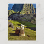 Peru, Anden, Anden, Machu Picchu Postkarte (Vorderseite)