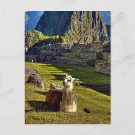 Peru, Anden, Anden, Machu Picchu Postkarte (Vorderseite)