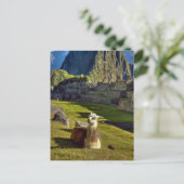 Peru, Anden, Anden, Machu Picchu Postkarte (Stehend Vorderseite)