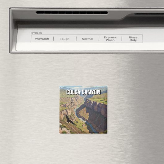 Peru Colca Canyon Magnet (In Situ (Geschirrspüler))