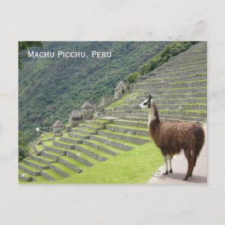 Peru-Lama Postkarte