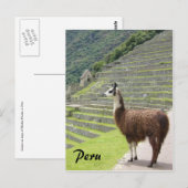 Peru Lama Postkarte (Vorne/Hinten)
