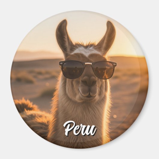 Peru Llama in Sonnenbrille Magnet (Vorne)