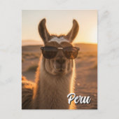 Peru Llama in Sonnenbrille Postkarte (Vorderseite)