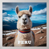 Peru Llama Poster (Vorne)