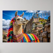 Peru Llama Poster (Vorne)