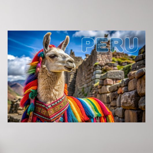 Peru Llama Poster (Vorne)