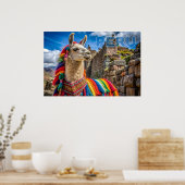 Peru Llama Poster (Küche)