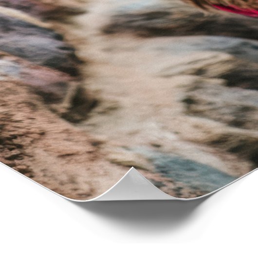 Peru Llama Poster (Ecke)