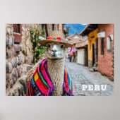 Peru Llama Poster (Vorne)