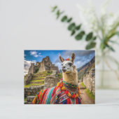 Peru Llama Postkarte (Stehend Vorderseite)