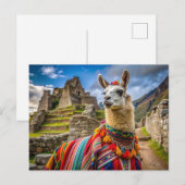 Peru Llama Postkarte (Vorne/Hinten)