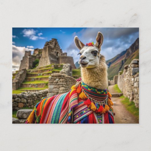 Peru Llama Postkarte (Vorderseite)