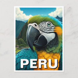 Peru Macaw Postkarte