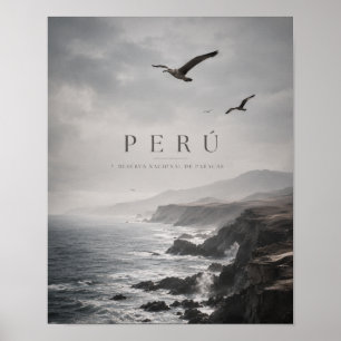Perú Paracas Moody Coastal Reise Poster