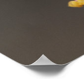 Peru, Peruaner Regenwald. Giftbogenfrosch Poster (Ecke)