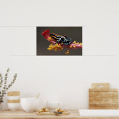 Peru, Peruaner Regenwald. Giftbogenfrosch Poster (Küche)