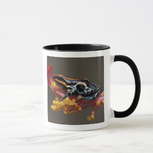 Peru, Peruaner Regenwald. Giftbogenfrosch Tasse