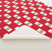 Peru Sherpadecke (3/4)