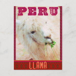 Peru Travel Postcard - The Llamas of Peru Postkarte