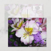 Peruaner Lily Postkarte (Vorne/Hinten)