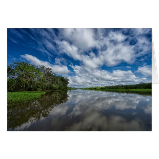 Peruanische Dschungelreflektionen (Vorderseite (Horizontal))