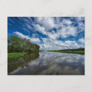 Peruanische Dschungelreflektionen Postkarte