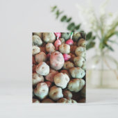 Peruanische Kartoffeln Postkarte (Stehend Vorderseite)