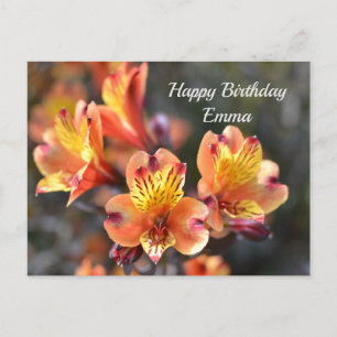 Peruanische Lily-Blume am RHS Garden Wisley Postkarte