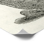 Peruanische Mummies Poster (Ecke)