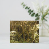 Peruanischer Regenwald Moss bedeckt Postkarte (Stehend Vorderseite)