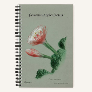 Peruanisches Apple Cactus Notebook - Vintag botani Notizblock