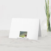 peruanisches Lama Karte (Rückseite)