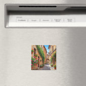 Perugia Italien Reise Magnet (In Situ (Geschirrspüler))