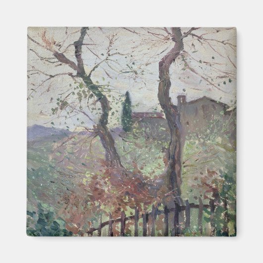 Perugia, Umbrien, 1894 Magnet (Vorne)