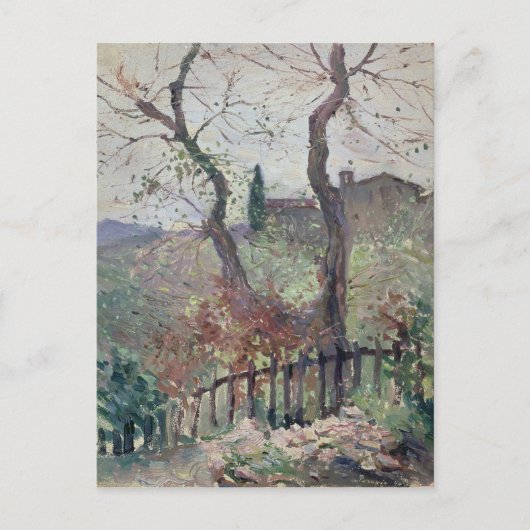 Perugia, Umbrien, 1894 Postkarte (Vorderseite)