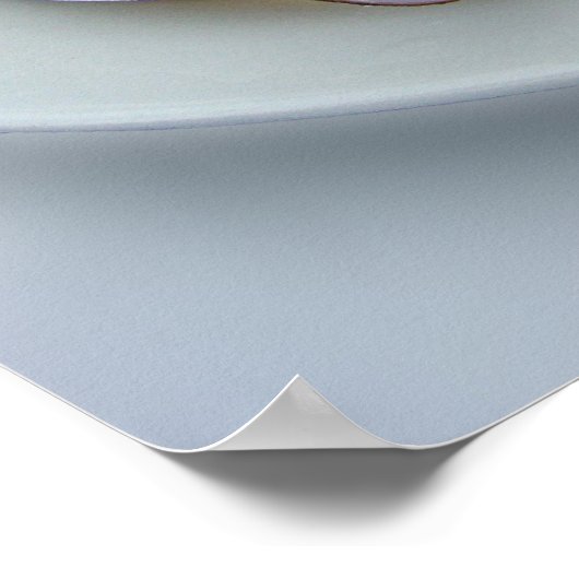 Peruvian Ceviche Poster (Ecke)