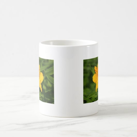 Peruvian Lilies Kaffeetasse (Mittel)