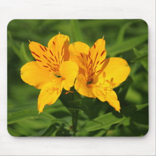 Peruvian Lilies Mousepad