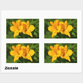 Peruvian Lilies Rechteckiger Aufkleber (Blatt)