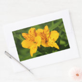 Peruvian Lilies Rechteckiger Aufkleber (Umschlag)