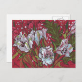 Peruvian Lilies Spring Flowers Postkarte (Vorne/Hinten)
