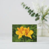 Peruvian Lilies Visitenkarte (Stehend Vorderseite)