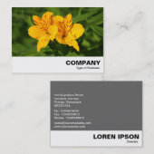 Peruvian Lilies Visitenkarte (Vorne/Hinten)
