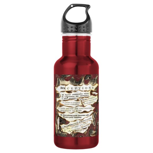 Perzeption Aluminium-Wasser-Flasche Edelstahlflasche (Vorderseite)