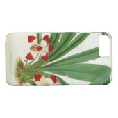 Pescatorea Klabochurum Case-Mate iPhone Hülle (Rückseite (Horizontal))