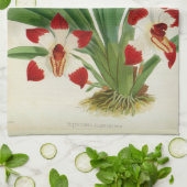 Pescatorea Klabochurum Geschirrtuch (Gefaltet)