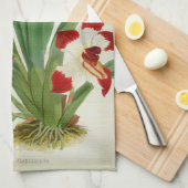 Pescatorea Klabochurum Geschirrtuch (Viertel Falte)