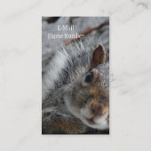 Pesky-Eichhörnchen Visitenkarte (Rückseite)