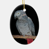 Pesky Parrot Ornament (Hinten)